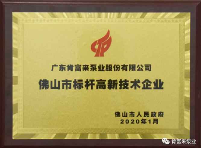 乐鱼官方站网页版-乐鱼online中国喜获“佛山市标杆高新技术企业”称号